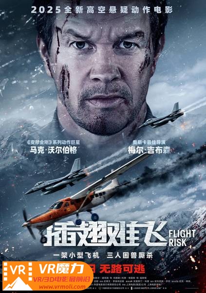 插翅难飞 3D Flight Risk.jpg