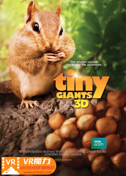 小巨人 3D Tiny Giants 3D.jpg
