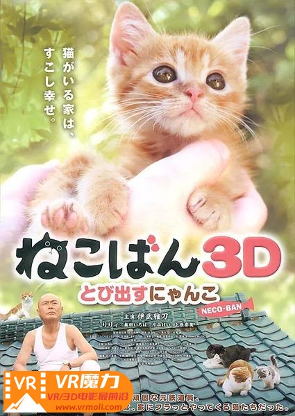 小猫跳出来 3D ねこばん3D とび出すにゃんこ.jpg