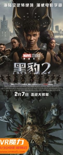 【黑豹2 瓦坎达万岁 3D Black Panther: Wakanda Forever 3D】3D左右电影下载_国英双语_1080P_高清蓝光压制_网盘