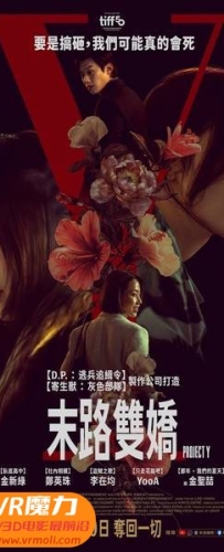 【末路双娇 3D Project Y 3D】3D左右电影下载_中文字幕_4K_高清蓝光压制_网盘