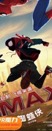 【蜘蛛侠：平行宇宙 3D Spider-Man: Into the Spider-Verse 3D】3D左右电影下载_国英双语_1080P_高清蓝光压制_网盘