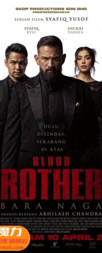 【血亲兄弟 3D Blood Brothers: Bara Naga 3D】3D左右电影下载_中文字幕_4K_高清蓝光压制_网盘