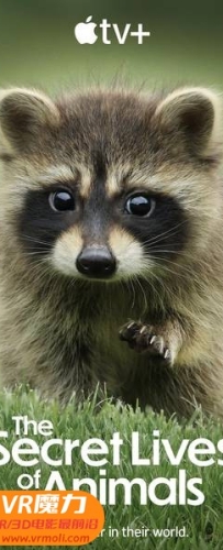 【动物的秘密生活 第01集 3D The Secret Lives of Animals s01e01 3D】3D左右电影下载_中文字幕_4K_高清蓝光压制_网盘