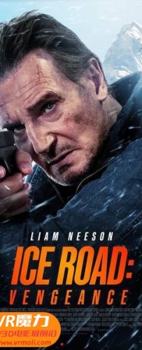 【冰路营救2 复仇 3D Ice Road: Vengeance 3D】3D左右电影下载_中文字幕_4K_高清蓝光压制_网盘