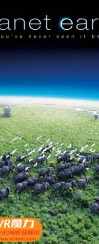 【地球脉动 第一季 第08集 3D Planet Earth s01e08 3D】3D左右电影下载_国英双语_4K_高清蓝光压制_网盘