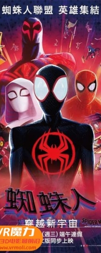 【蜘蛛侠：纵横宇宙 3D Spider-Man: Across the Spider-Verse 3D】3D左右电影下载_国英双语_4K_高清蓝光压制_网盘