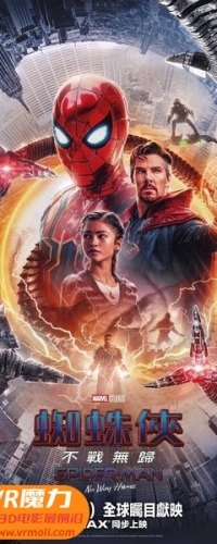 【蜘蛛侠：英雄无归 3D Spider-Man: No Way Home 3D】3D左右电影下载_粤英双语_1080P_高清蓝光压制_网盘
